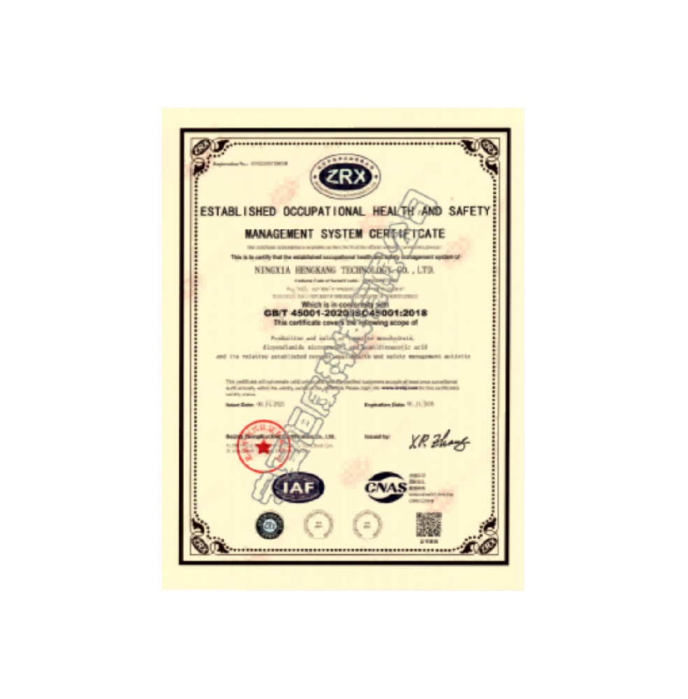 职业健康安全管理体系认证证书（英文）
